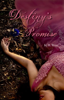 Cover image for Destiny's Promise
