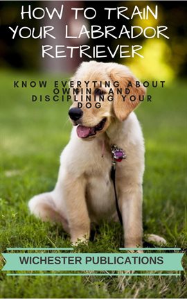 Cover image for How to Train Your Labrador Retriever: Know Everything About Owning and Disciplining Your Dog