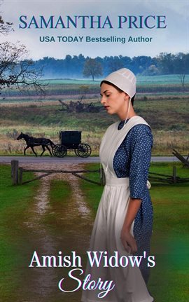 Cover image for Amish Widow's Story