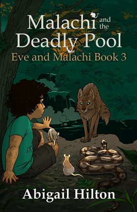 Cover image for Malachi and the Deadly Pool