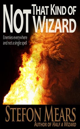 Cover image for Not That Kind of Wizard
