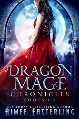 Imagen de portada para Dragon Mage Chronicles