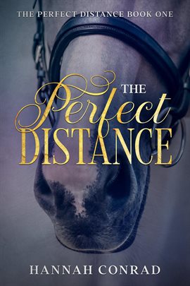 Cover image for The Perfect Distance