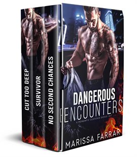 Imagen de portada para Dangerous Encounters: A Romantic Suspense Boxed Set