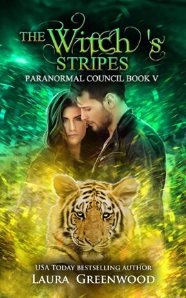 Cover image for The Witch's Stripes