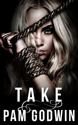 Cover image for Take