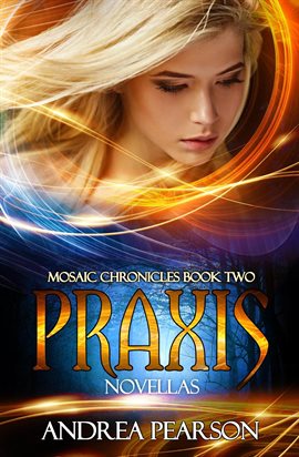 Cover image for Praxis Novellas