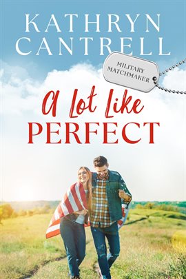Cover image for A Lot Like Perfect
