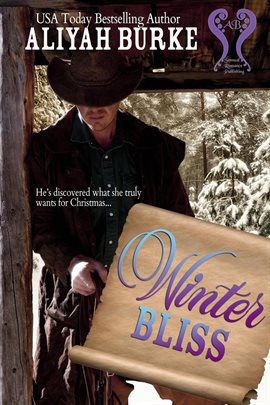 Cover image for Winter Bliss