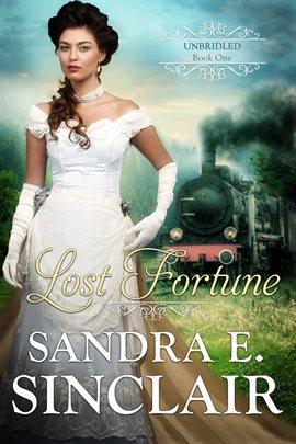 Cover image for Lost Fortune