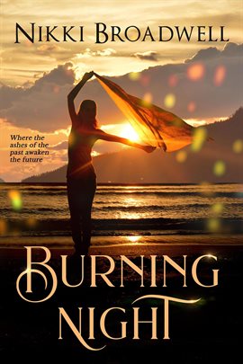 Cover image for Burning Night