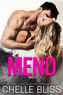 Cover image for Mend