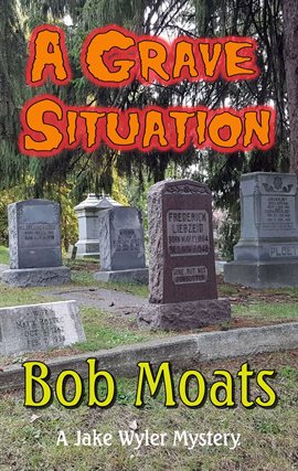 Cover image for A Grave Situation