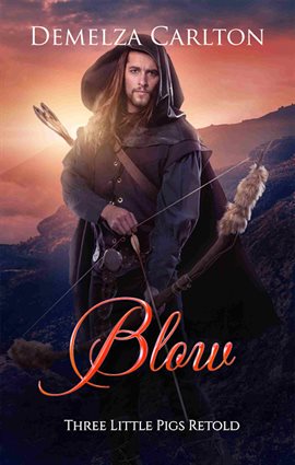 Cover image for Blow