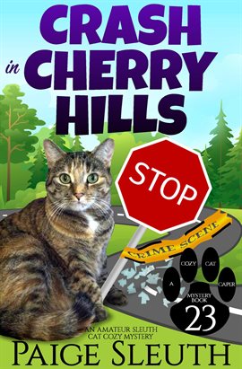 Cover image for Crash in Cherry Hills