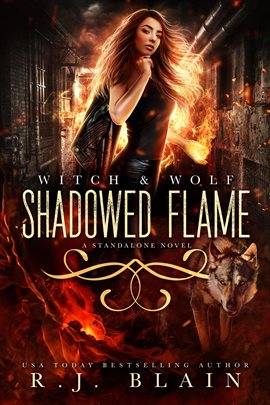 Cover image for Shadowed Flame