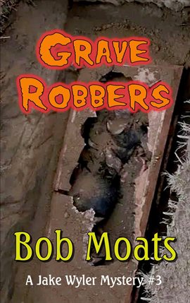 Cover image for Grave Robbers