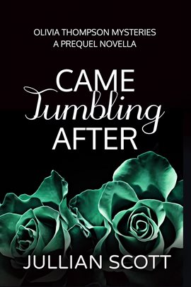 Cover image for Came Tumbling After