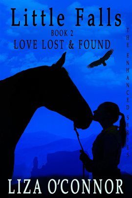 Cover image for Love Lost and Found
