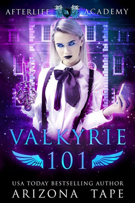 Cover image for Valkyrie 101