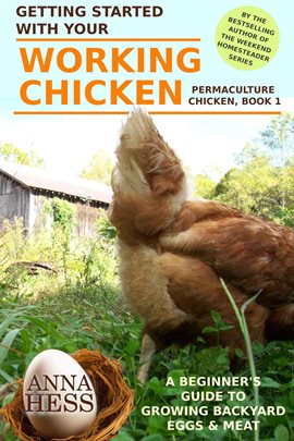 Cover image for The Working Chicken