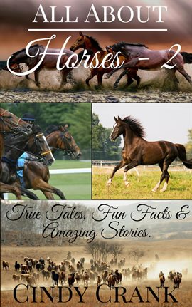 Cover image for All About Horses
