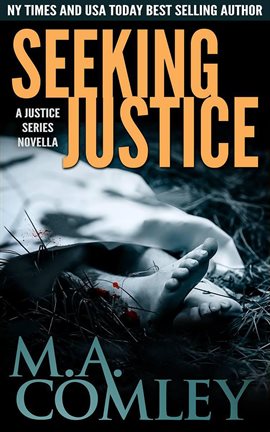 Cover image for Seeking Justice