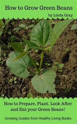 Imagen de portada para How to Grow Green Beans