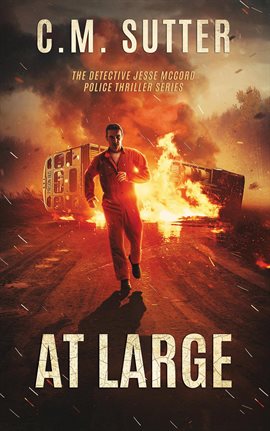 Cover image for At Large
