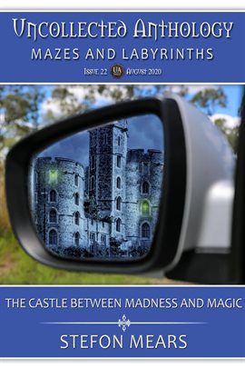 Cover image for The Castle Between Madness and Magic