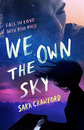 Cover image for We Own the Sky