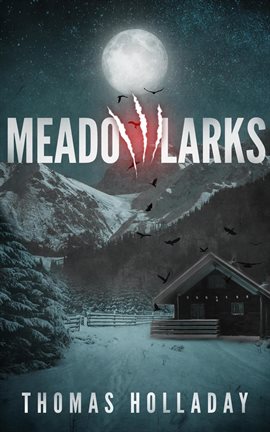 Cover image for Meadowlarks