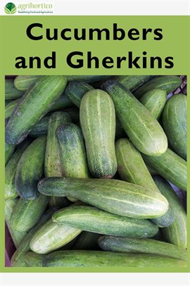 Cover image for Cucumbers and Gherkins