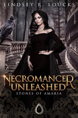 Cover image for Necromancer Unleashed
