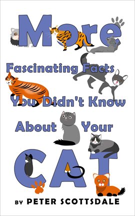 Cover image for More Fascinating Facts You Didn't Know About Your Cat