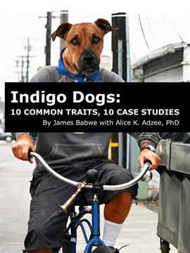 Cover image for 10 Case Studies Indigo Dogs: 10 Common Traits