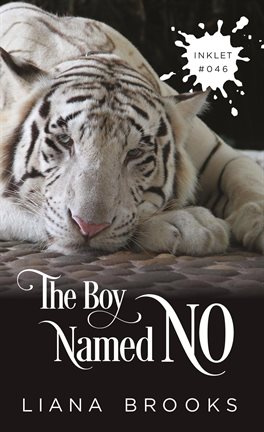 Cover image for The Boy Named No