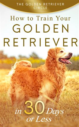 Imagen de portada para Golden Retriever: How to Train Your Golden Retriever in 30 Days or Less