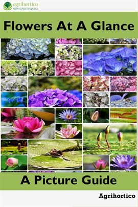Cover image for Flowers at a Glance: A Picture Guide