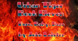Cover image for Urban Tiger Book Eleven Burn, Baby, Burn