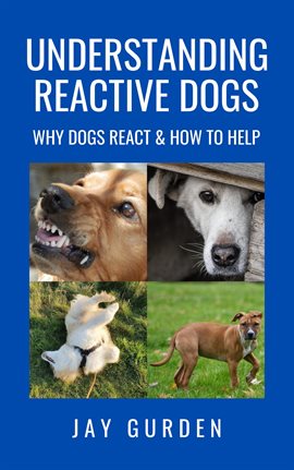 Imagen de portada para Understanding Reactive Dogs: Why Dogs React & How to Help