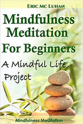 Cover image for Mindful Meditation for Beginners. Mindfulness Meditation