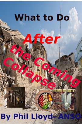 Cover image for What to Do After the Coming Collapse