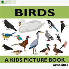 Cover image for Birds: A Kids Picture Book