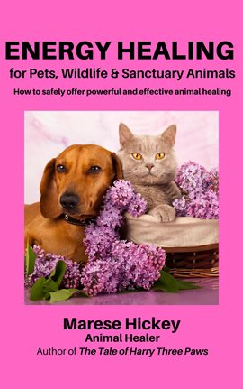 Cover image for Energy Healing for Pets, Wildlife & Sanctuary Animals