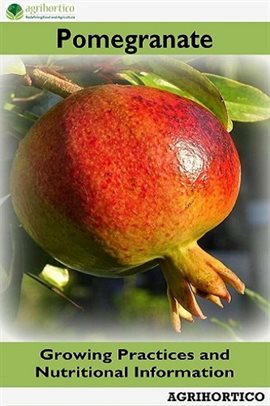 Cover image for Pomegranate: Growing Practices and Nutritional Information