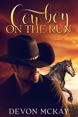 Cover image for Cowboy on the Run