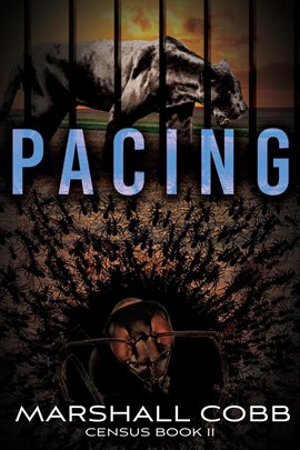 Cover image for Pacing