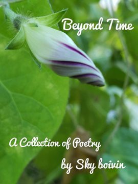Cover image for Beyond Time