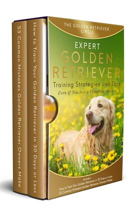 Cover image for Golden Retriever: Expert Golden Retriever Training Strategies and Tips, Even If You Are a Complete N